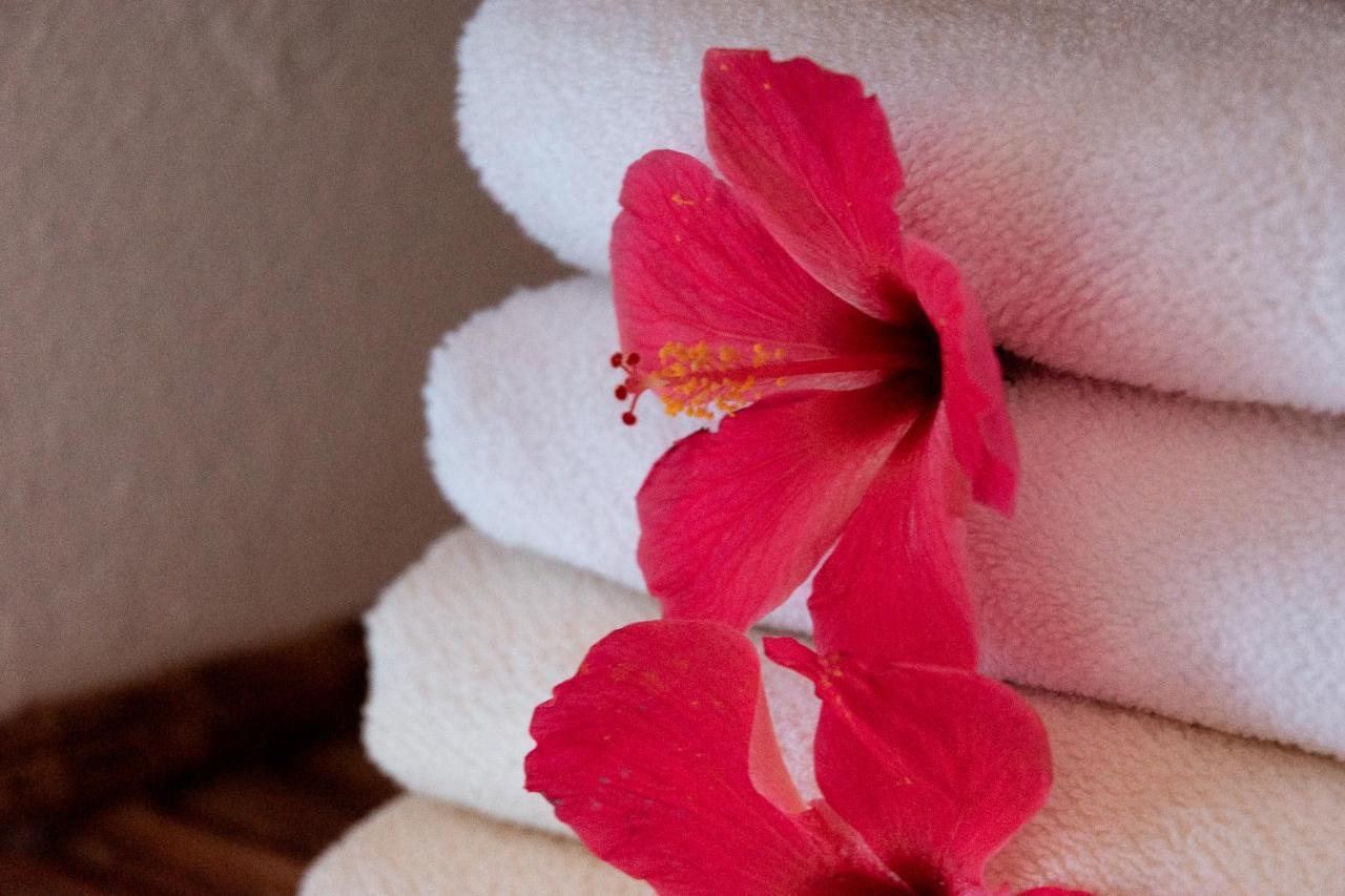 Hotel Casalina パロミノ エクステリア 写真